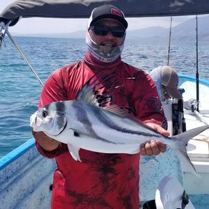 Meet your Posher, Walter